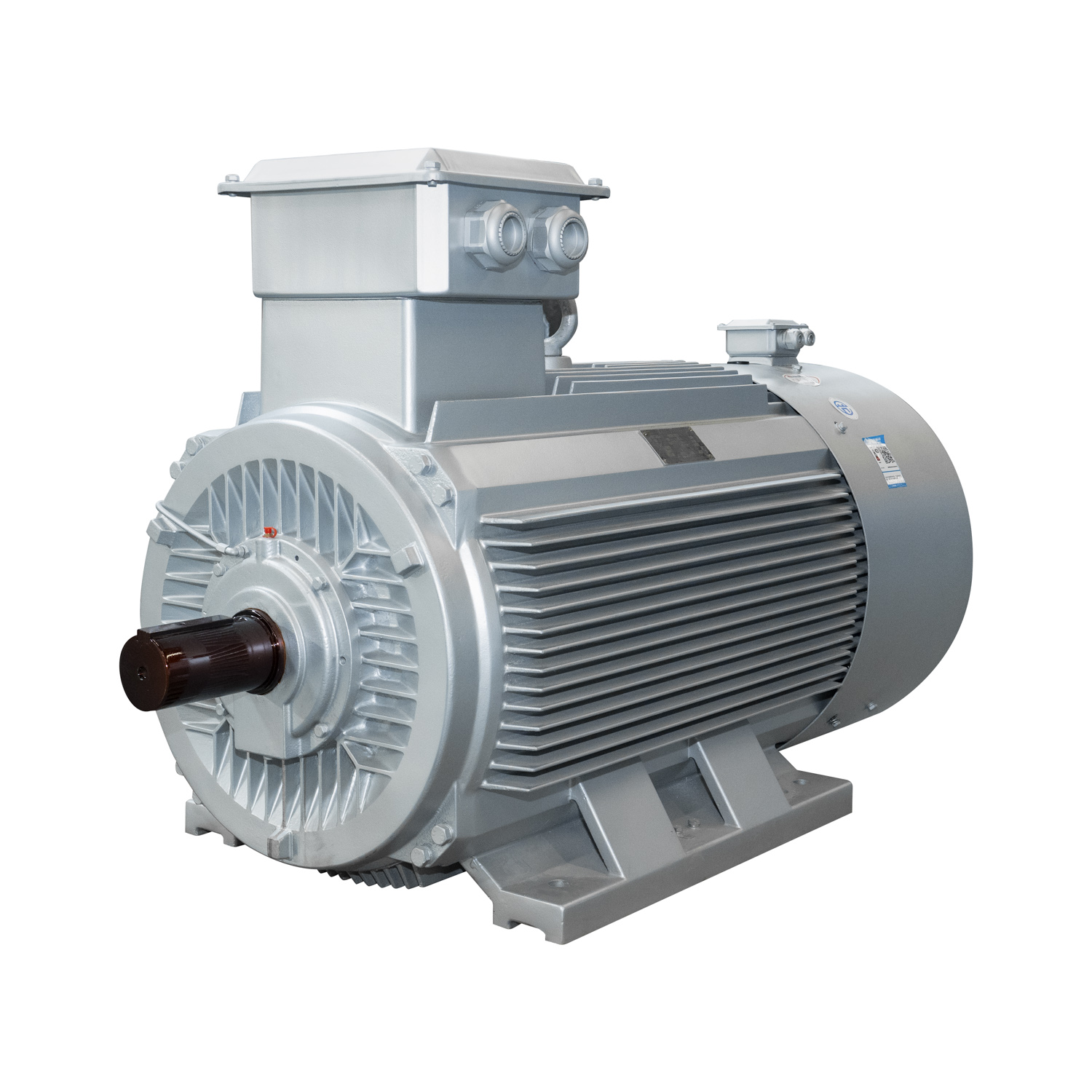 IE5 660V TYCX High Power Direct-Starting Permanent Magnet